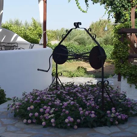 Tzane & - Steps Away From Golden * Chrisi Akti (Paros)