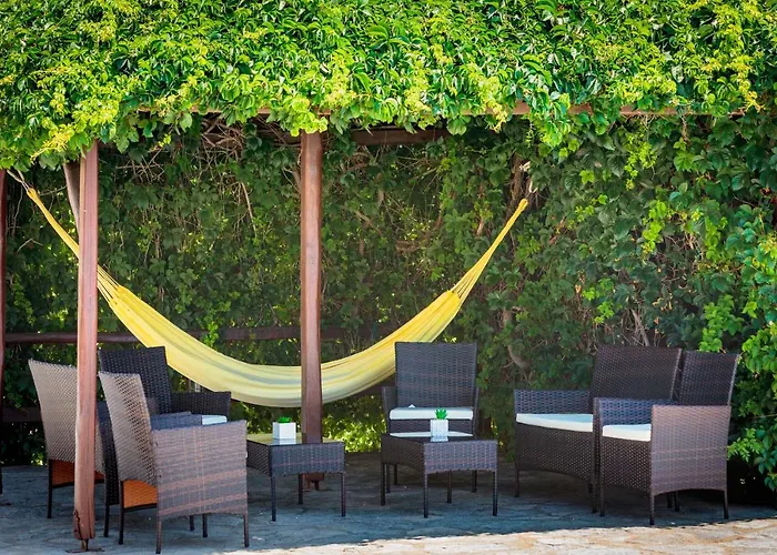 Tzane & - Steps Away From Golden * クリシ・アクティ