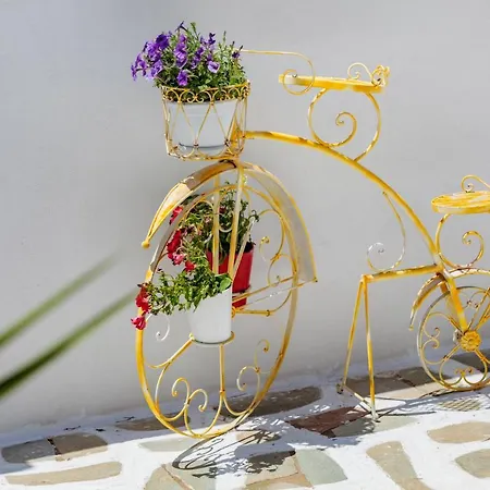 Tzane & - Steps Away From Golden * Chrisi Akti (Paros)