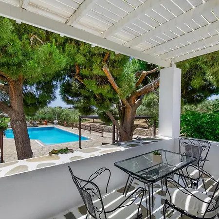 Tzane & - Steps Away From Golden *