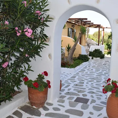 Tzane & - Steps Away From Golden * Chrisi Akti (Paros)