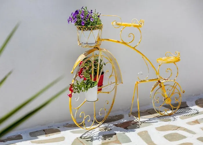 Tzane & - Steps Away From Golden * Chrisi Akti (Paros)