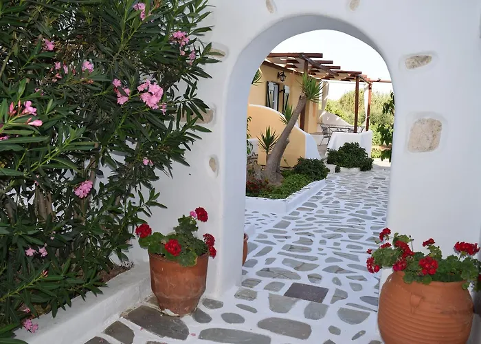 Tzane & - Steps Away From Golden * Chrisi Akti (Paros)