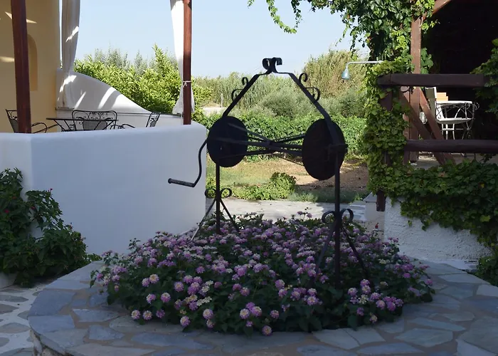 Tzane & - Steps Away From Golden * Chrisi Akti (Paros)